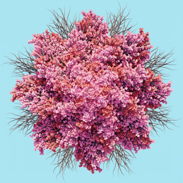 Flower arrangement in pink tones